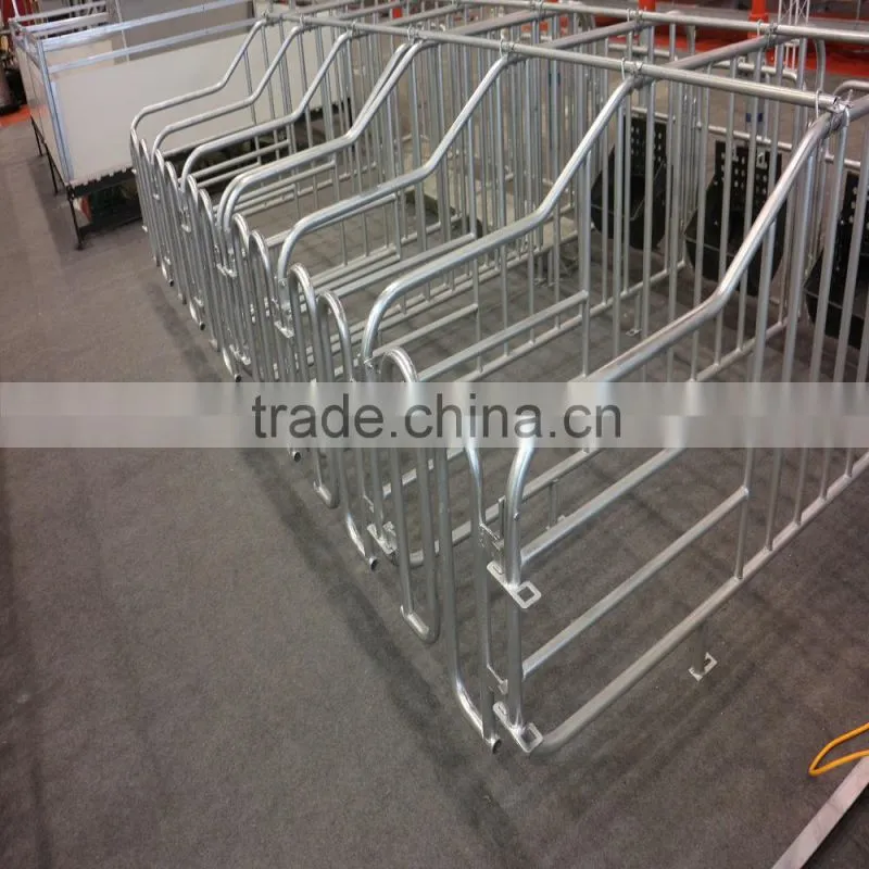 galvanized pipe for pig gestation stall