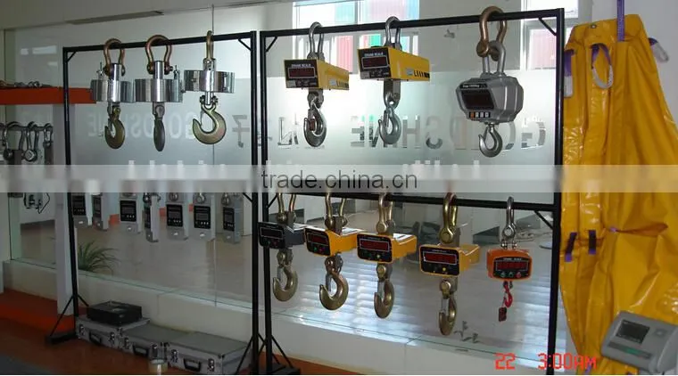 With high precision Gold Supplier Electronic Wireless Crane Scale