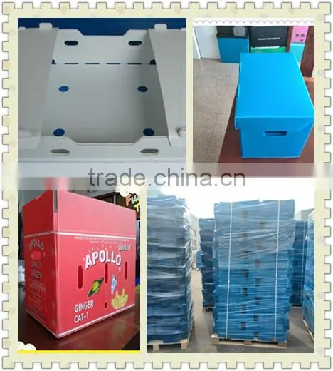 Durable and reusable plastic corrugated PP box for packing and storage
