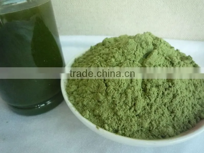 2016 Health Food 200mesh China Organic Barley Grass Powder