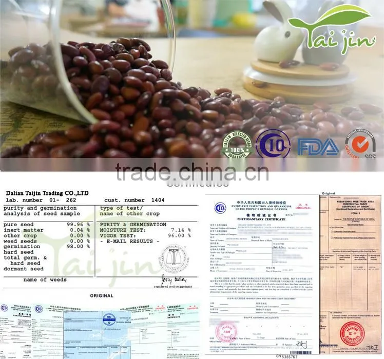 China Origin Competitive Price British Red Kidney Bean