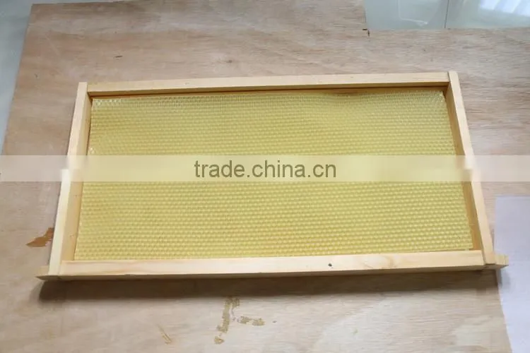 comb beeswax foundation of beeswax foundation sheet