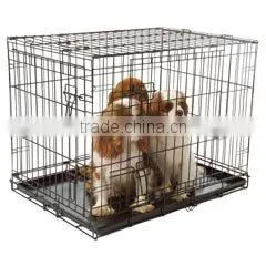 metal dog cage