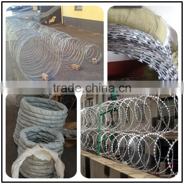 WEIHAO hot selling Standard Flat wrap and Concertina coil razor wire