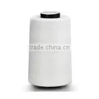 High tenacity of 100% polyester sewing thread with customized color