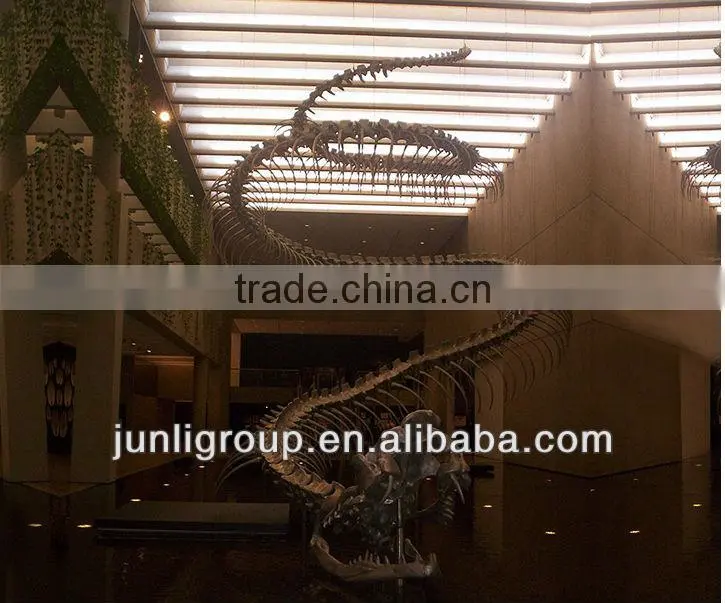 JLDF-G-0023 Huge Life Size Snake Skeleton