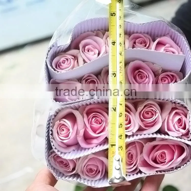 Top quality hot selling malia roses rose plants and jungle roses