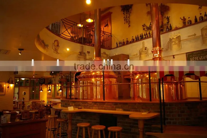 Bars,pubs,hotesl draft beer brew brewery,Complete 300-3000L beer brewery plants, fermenting equipment