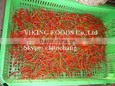 SMALL CHILI HIGH QUALITY FROM VIETNAM