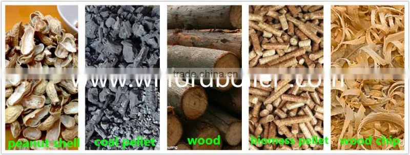 CE high safety biomass steam boiler
