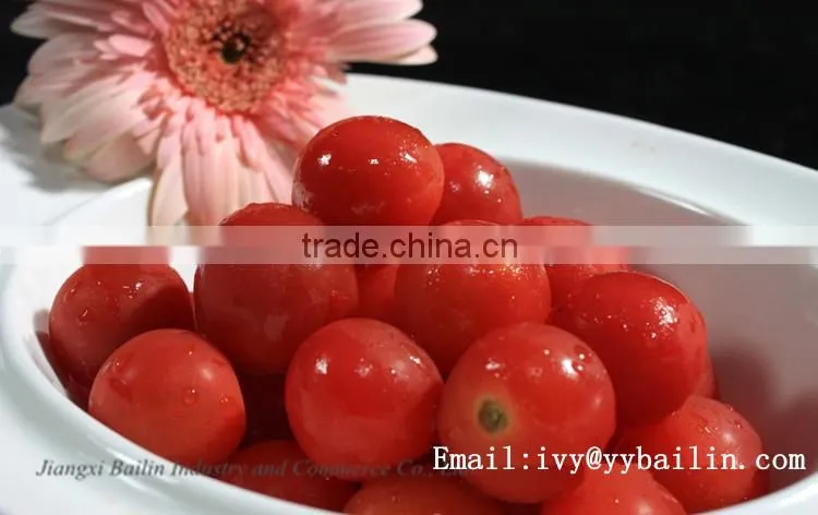Factory supply good quality and lower price canned tomato paste