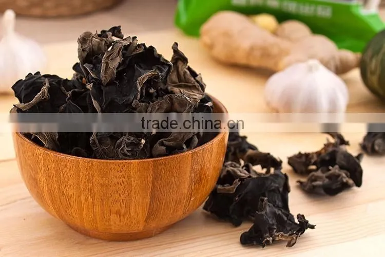 Perfect Black Fungus Mushrooms