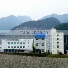 Fujian Nanping San Jin Electronics Co., Ltd. company overview - view 1