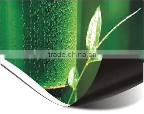 Sounda PVC Baclkit advertising materials for eco solvent and latex printers