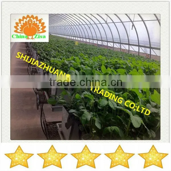 HDPE greenhouse growing tray and grow box