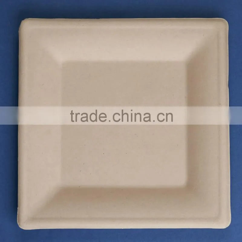 T028-UB unbleached 10 inches disposable flate square sugar cane paper plate