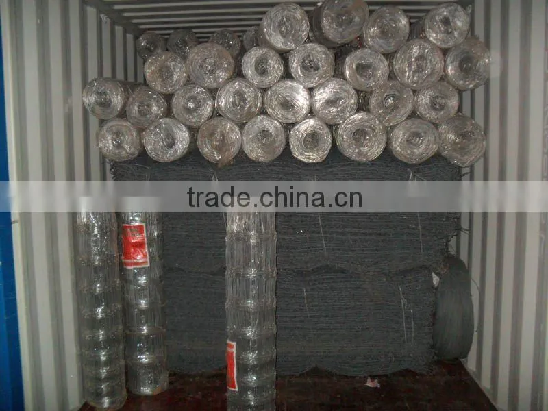 Galvanized Hexagonal Gaboin Box( Manufacturer ISO9001)
