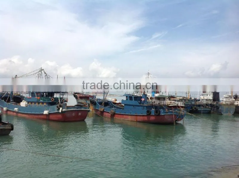 2016 high quality of New coming Frozen Mihi Mhi fillet for sale