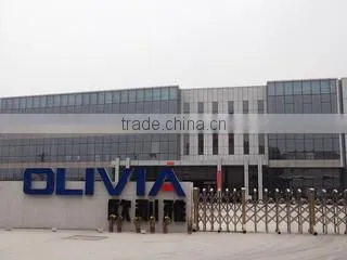 Guangdong Olivia Chemical Industry Co., Ltd. company overview - view 2