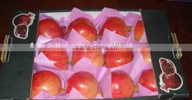 17 Ton / Container Of Fresh Pomegranates