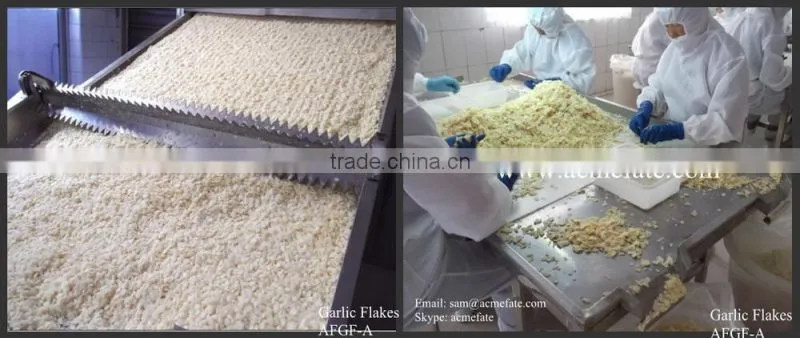 Dried Garlic Flake