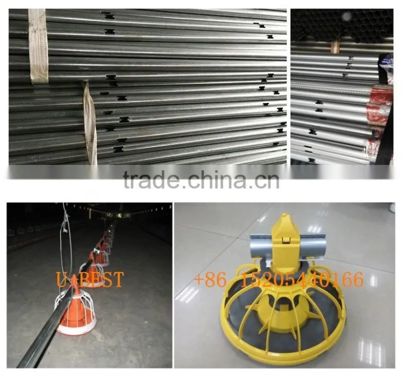 Environmental Control Poultry House Automatic Farm Machinery Equipment Broiler Feeding System For Breeding Chickens