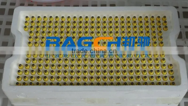 Automatic Poultry Equipment for Broiler Chicken