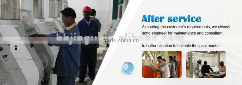 Bottom Price And All-round Safety Grain/soybean/corn Storge Silo
