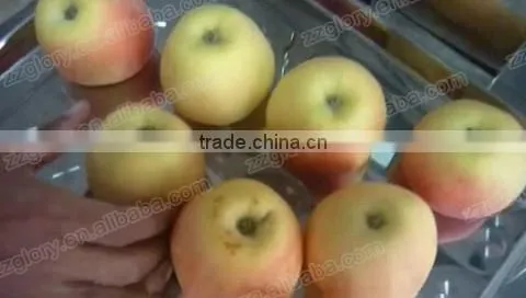 CE Approved High Capacity Automatic Apple Peeler Machine, Pear Peeler Machine