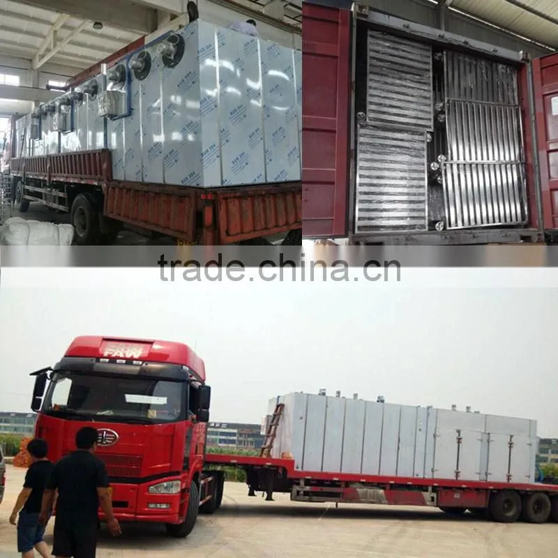 Industiral Hot Air Circulation Vegetable and Fruit Drying Equipment/Ginger Drying Machine