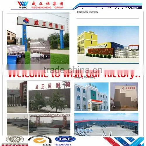 double panel doors / Cleanroom Door /Double Door and Single Door