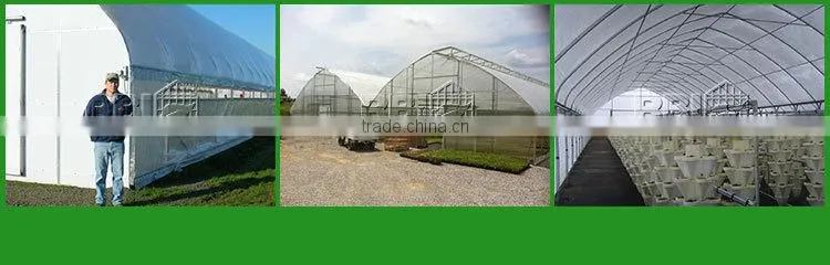 Commercial Greenhouse for sale Single span greenhouse