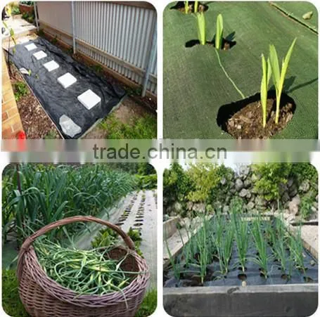 black weed barrier fabric matting/anti grass woven mat plastic golf weed control ground cover