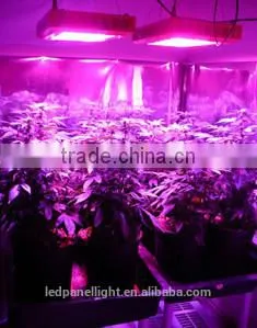 1000w hps led grow light for factory sale 2014