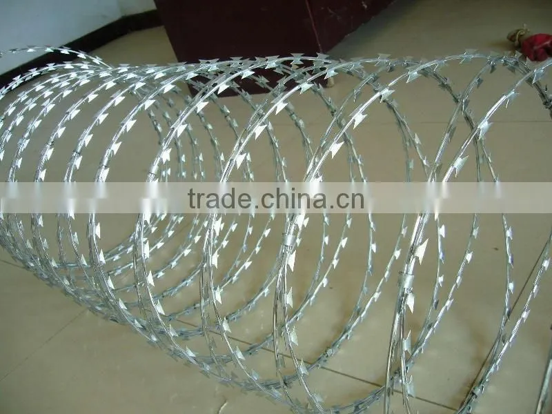 galvanized razor wire price in Guangzhou supplier