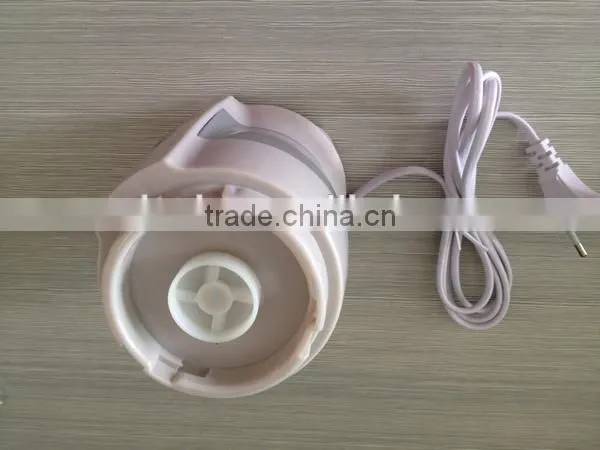 Shake n Take juicer blender/ Mini fruit juicer blender