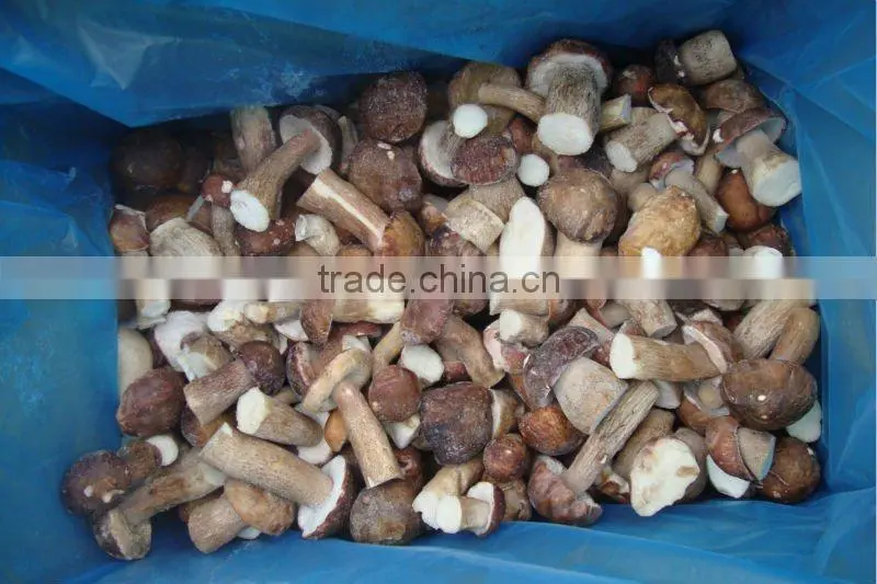 Frozen Boletus Edulis, Whole, grade A, 2-4cm