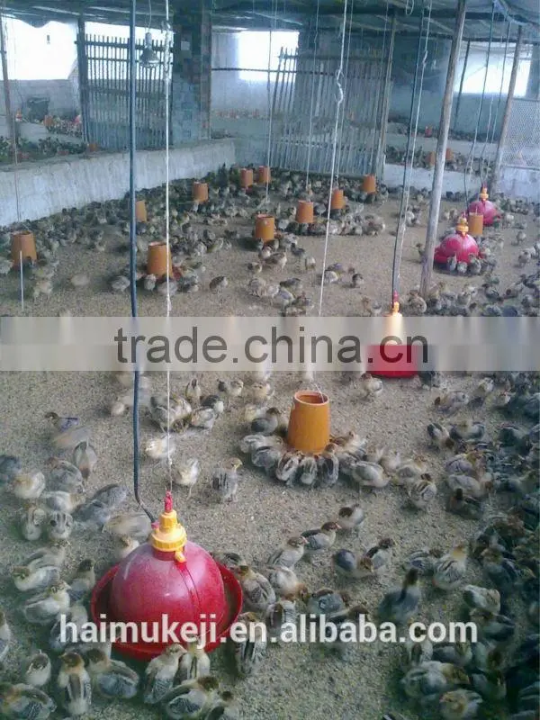 Timeproof Automatic water feeder for chickens/duck feeders