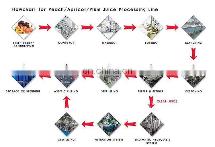 Industrial coconut fruit juicer extractor machine for sale