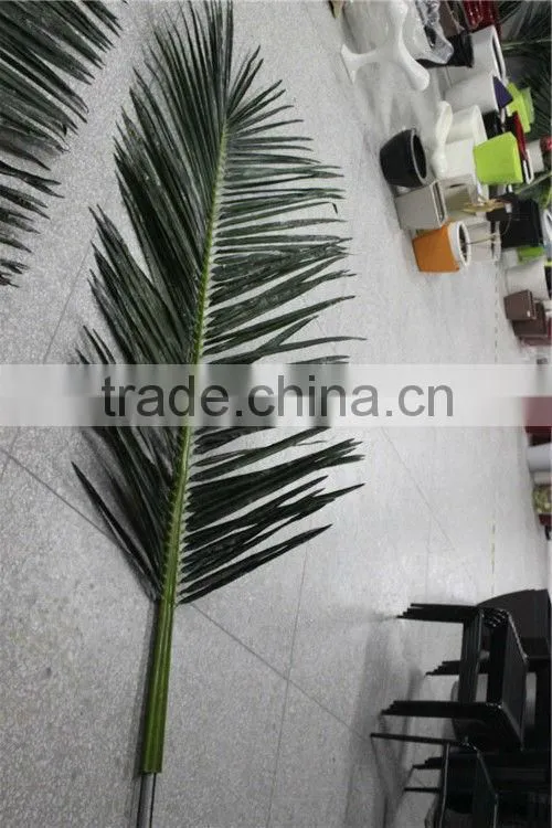 coconuts leaves price