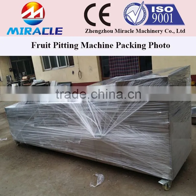 Fast Delivery Date Palm Core Seed Removing Machine From Fruit Process
