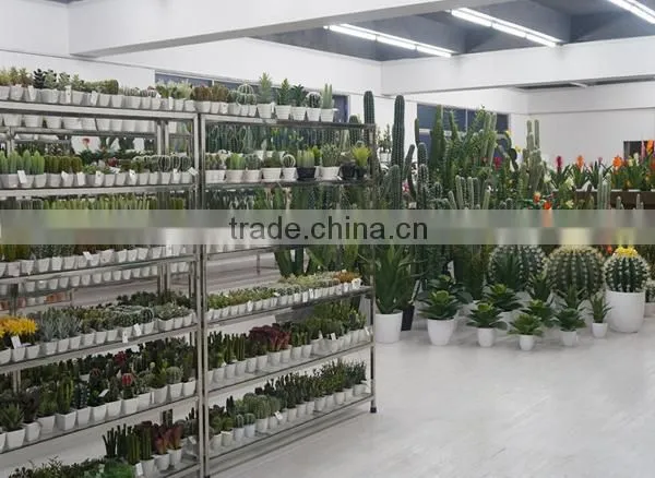 Indoor decoration artificial plants plastic plants lotus bonsai