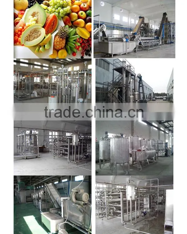 fresh apple juice production line