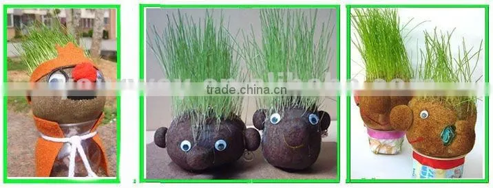Growing grass doll,grass head,grass doll