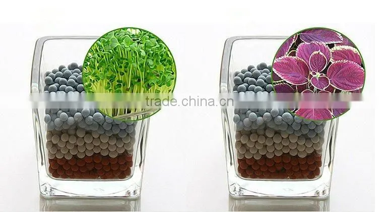 Anion mini plant,Creative promotion gifts