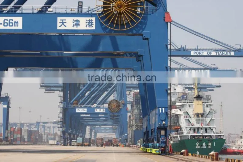TTN 2015 Chinese price of Walnut Kernel Price