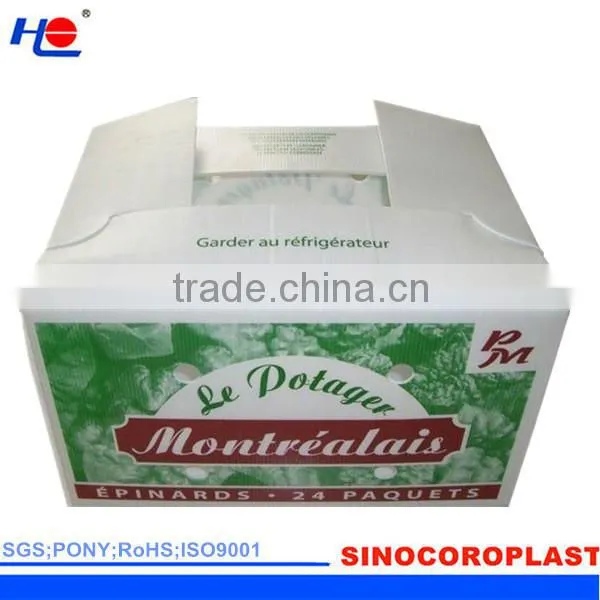 Plastic Cartonplast Box
