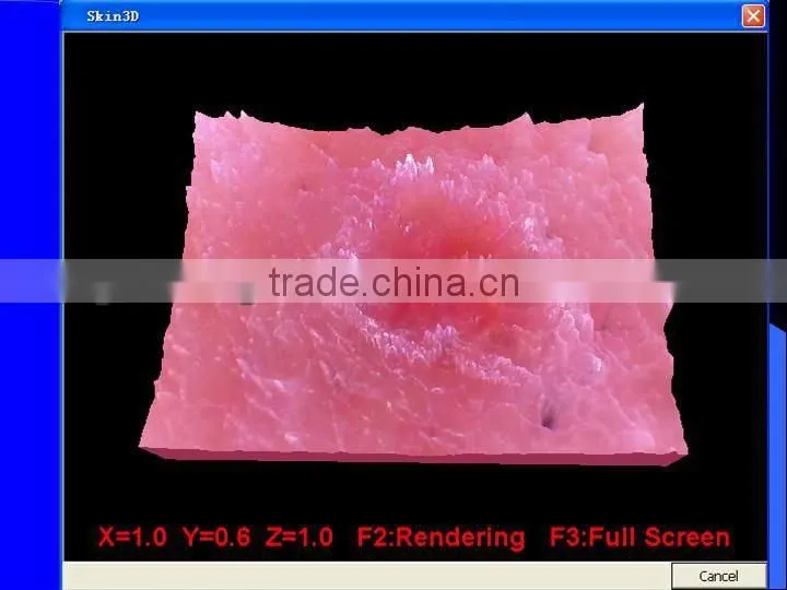 2013 Beauty salon/home use touch screen beauty care equipment skin diagnosis purpose BD-P006