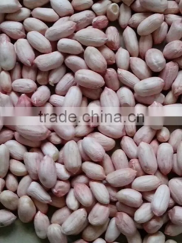2014 Peanut kernels 38/42, 40/50, 50/60, 60/70, 70/80, 80/100, Chinese Runner peanuts