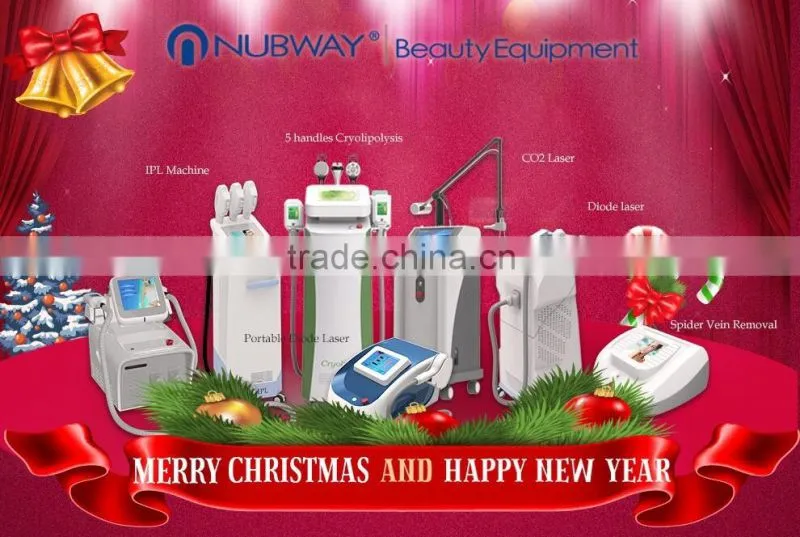 Professional 5 handles fat freezing cryolipolis ultrasonic liposuction cavitation slimming machine